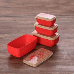 時(shí)代特色長(zhǎng)方形保鮮盒